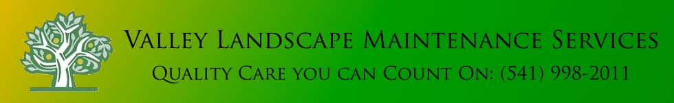Valley Landscape Services